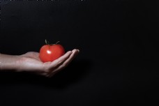 黑色背景手捧番茄摄影图
