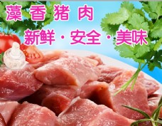 藻香猪黑猪肉新鲜肉写真宣传海报