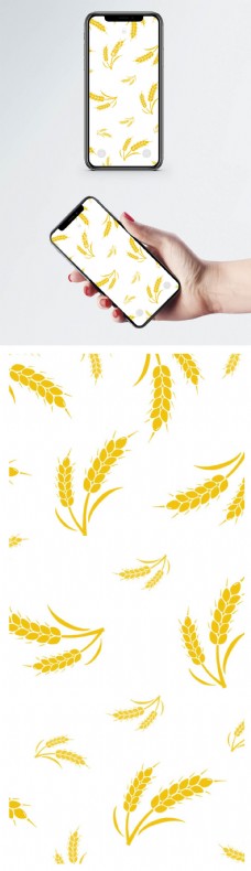 小麦背景手机壁纸