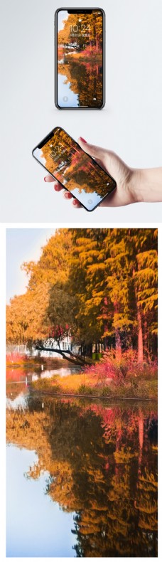 风景秋天手机壁纸