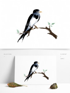 鸟类动物春分可爱水墨国画小燕子飞鸟类飞翔雨燕动物