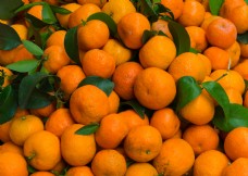 橘子甘果水果摄影照片纹理