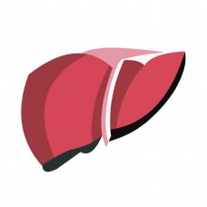 红色扁平手绘人体器官肝脏矢量免抠素材