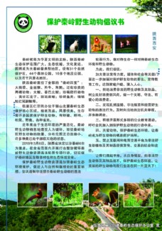 保护野生动物倡议书彩页
