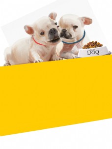 家有宠物家有萌宠宠物店宠物领养宣传海报背景模板