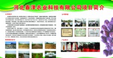 农村企业农产品展示