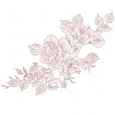 黑白线条花卉手绘植物花草手绘花线稿
