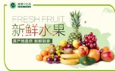 湾湾川新鲜水果超市海报