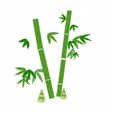 绿色叶子竹子竹叶和小竹笋