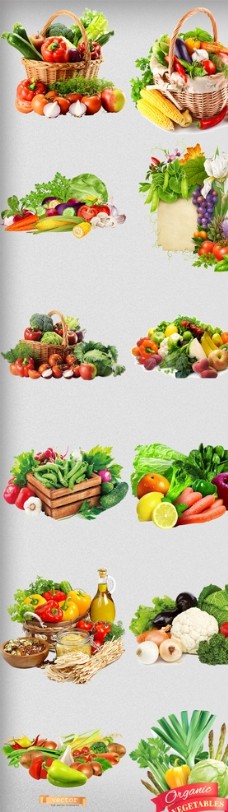蔬果海报水果蔬菜素材