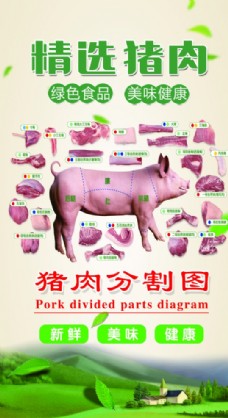 新鲜美食猪肉分割图海报