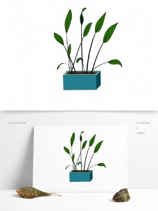 花盆植物绿色春天手绘风小清新风格元素图
