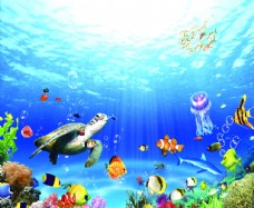 水底世界珊瑚礁大海海底世界海水