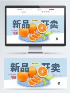 水果橙子橘子banner的副本