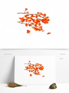 红色枫叶树枝设计元素