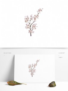 白色花树设计元素