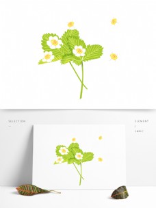 白色花朵与绿叶图案