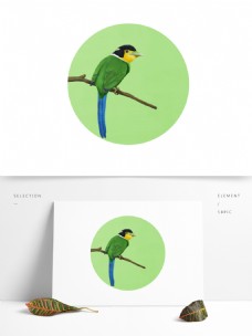 各种风格、类型鸟类元素手绘插画