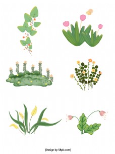 春天手绘植物花朵