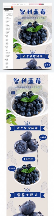 淘宝电商新鲜水果蓝莓详情页