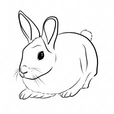 卡通手绘线条简笔画元素兔子