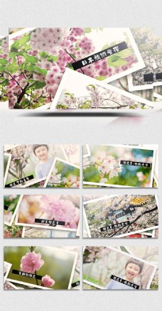 春季赏樱旅游摄影照片展示视频