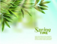 绿色植物春天气息树叶手绘背景