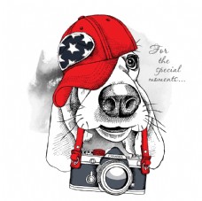 宠物狗狗和照相机卡通形象