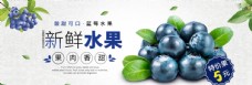 蓝莓水果海报