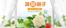蔬菜种子banner广告设计
