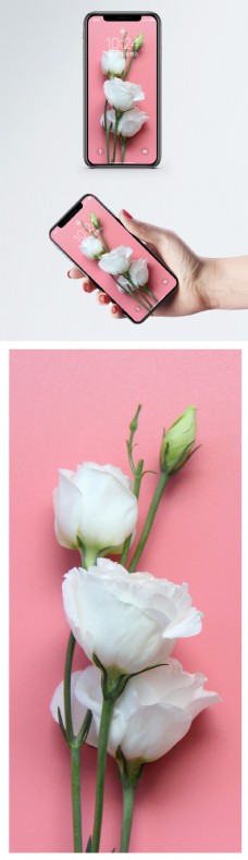 花卉手机壁纸
