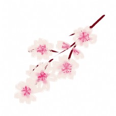 粉白色美丽的樱花插画