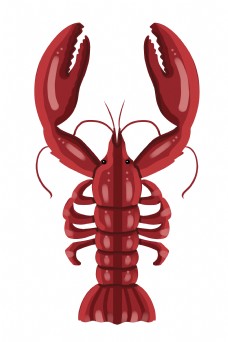 大大的龙虾蟹钳插画