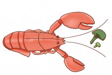 吃蔬菜的龙虾插画