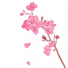 粉色樱花花朵插画