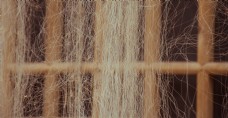 木窗上的丝质渔网