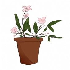 棕色花盆盆栽插图