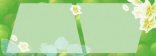 花朵绿植夏日海报背景图