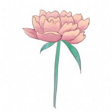粉色的小花装饰插画