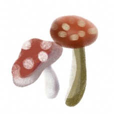 植物蘑菇装饰图案