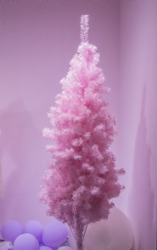 粉红色的树商用摄影