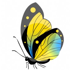 黄色的昆虫蝴蝶插画