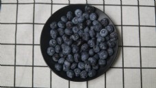 食用水果系列之蓝莓1
