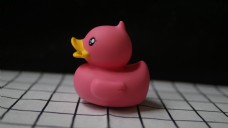 仿真小动物之粉色的小鸭子
