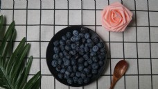 食用水果系列之蓝莓2