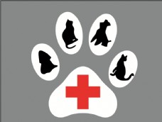 宠物医院logo