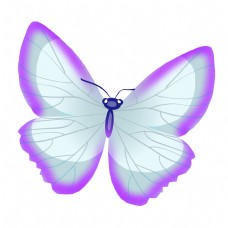 粉色的昆虫蝴蝶插画